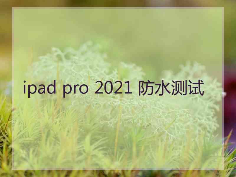 ipad pro 2021 防水测试