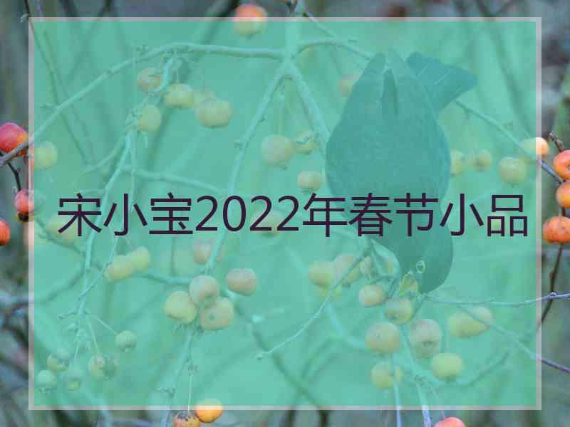 宋小宝2022年春节小品