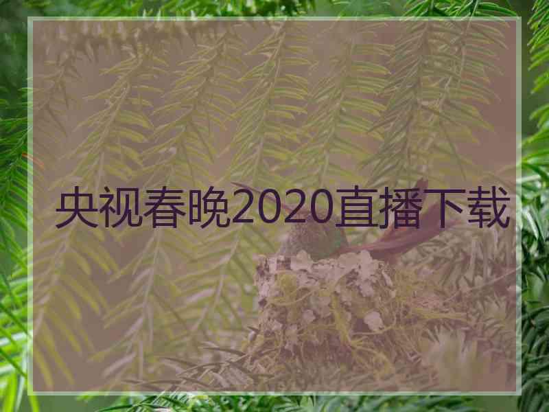 央视春晚2020直播下载