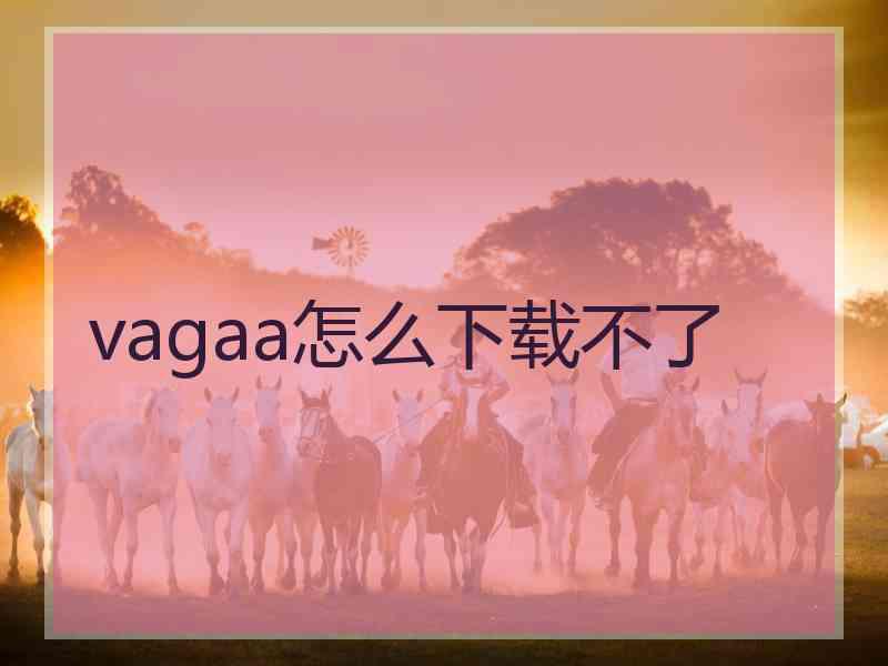 vagaa怎么下载不了