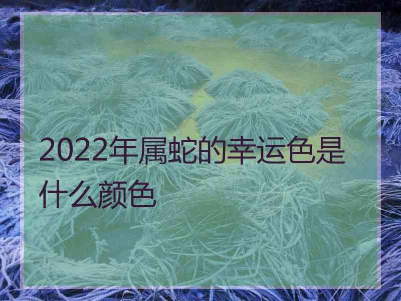 2022年属蛇的幸运色是什么颜色