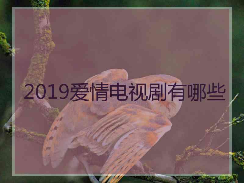 2019爱情电视剧有哪些