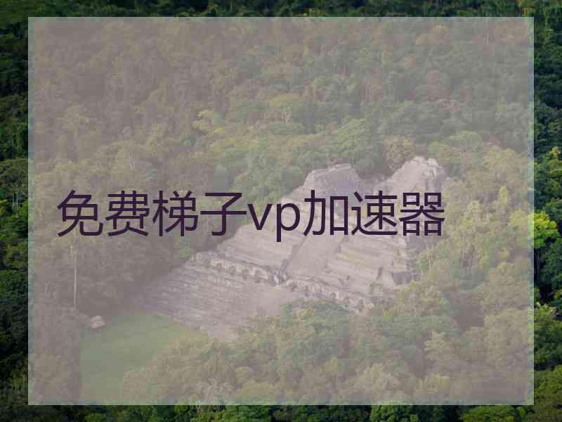 免费梯子vp加速器