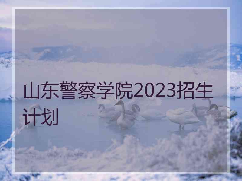 山东警察学院2023招生计划