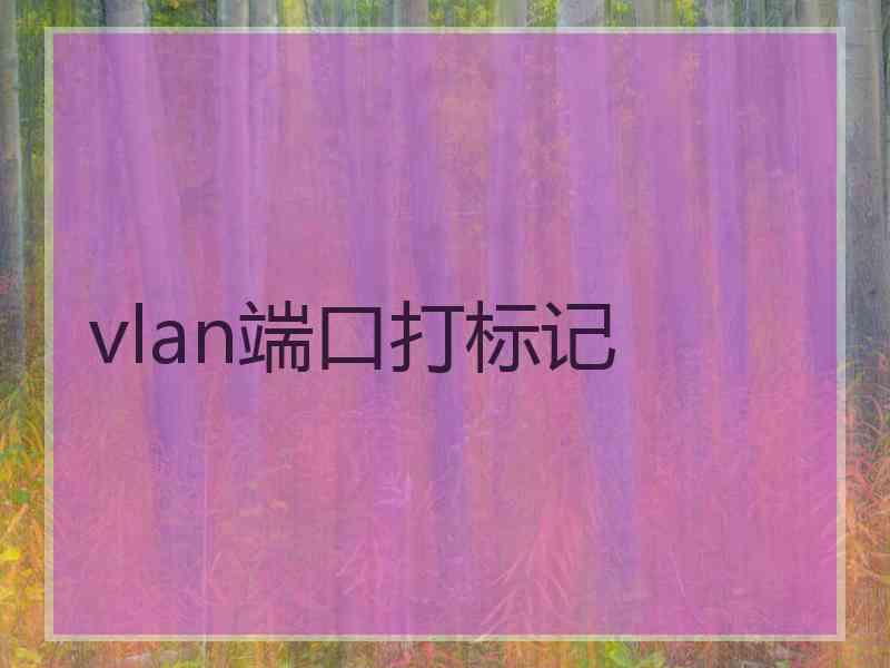 vlan端口打标记