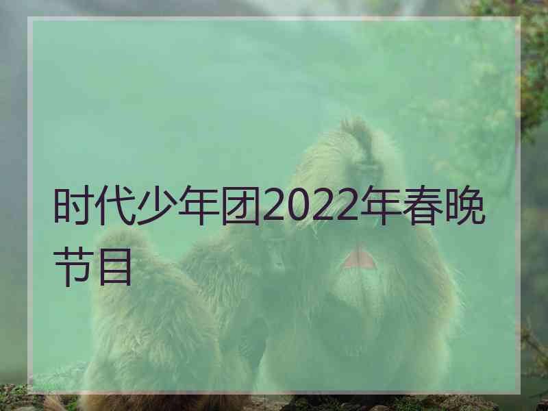 时代少年团2022年春晚节目