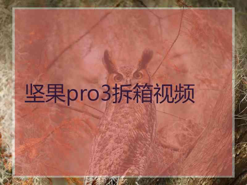 坚果pro3拆箱视频