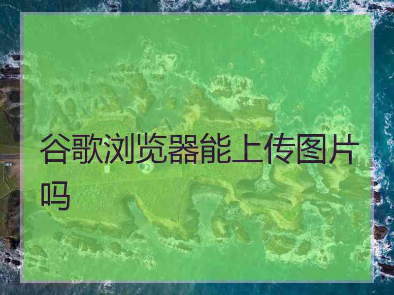 谷歌浏览器能上传图片吗