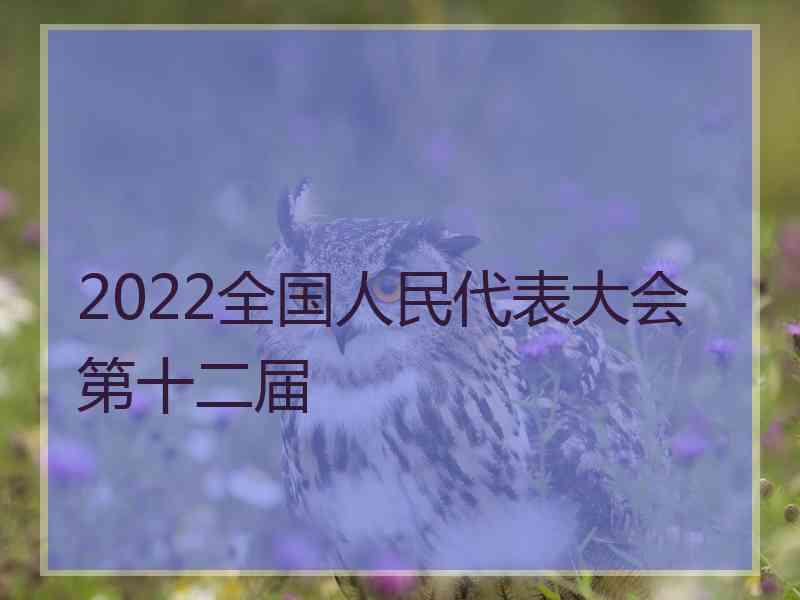 2022全国人民代表大会第十二届