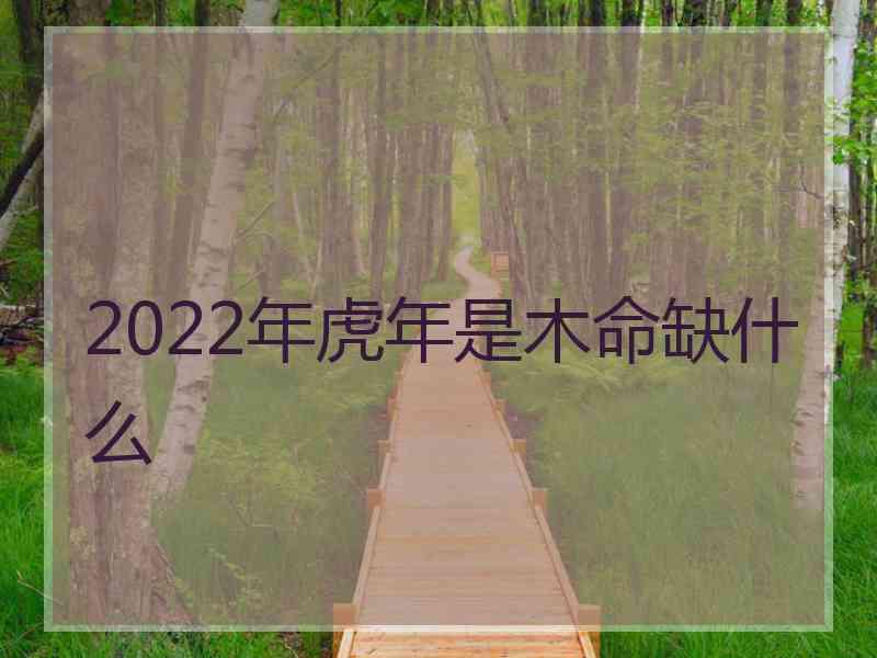 2022年虎年是木命缺什么