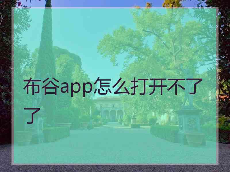 布谷app怎么打开不了了