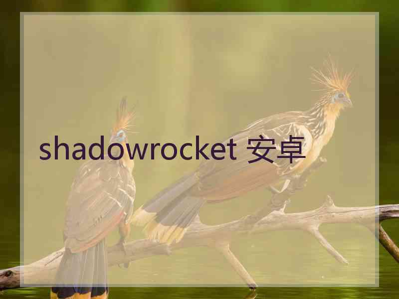 shadowrocket 安卓