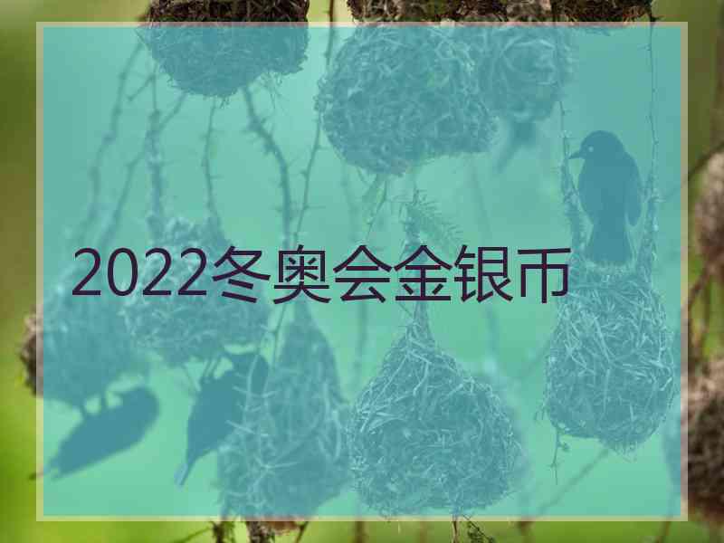 2022冬奥会金银币