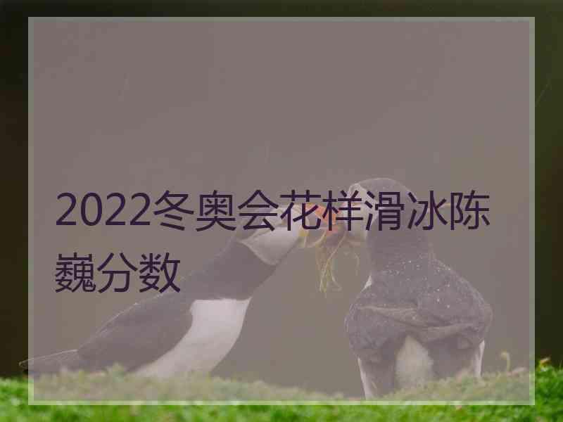 2022冬奥会花样滑冰陈巍分数