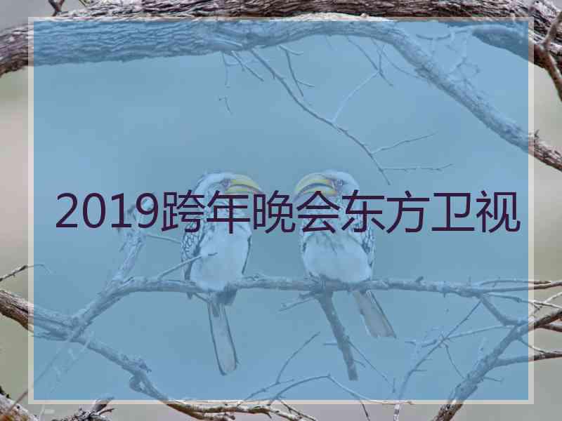 2019跨年晚会东方卫视