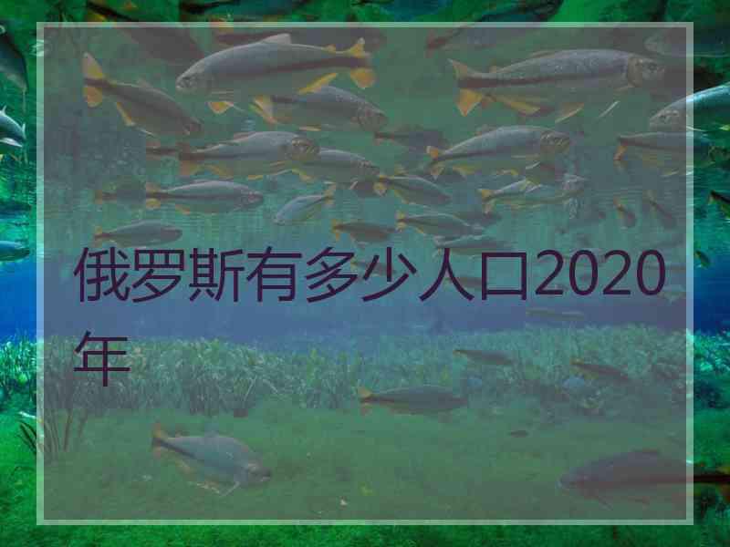 俄罗斯有多少人口2020年