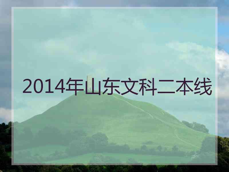 2014年山东文科二本线