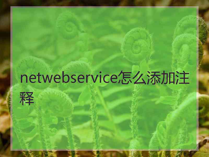 netwebservice怎么添加注释