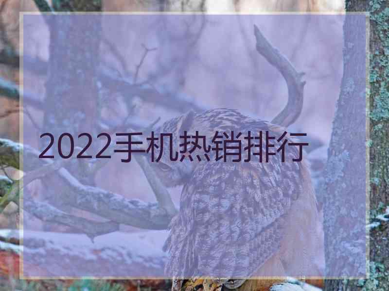 2022手机热销排行