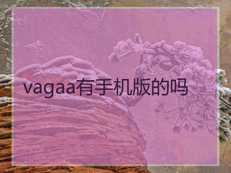 vagaa有手机版的吗