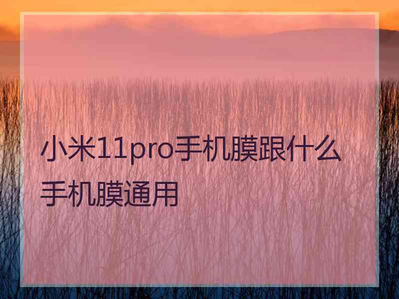 小米11pro手机膜跟什么手机膜通用