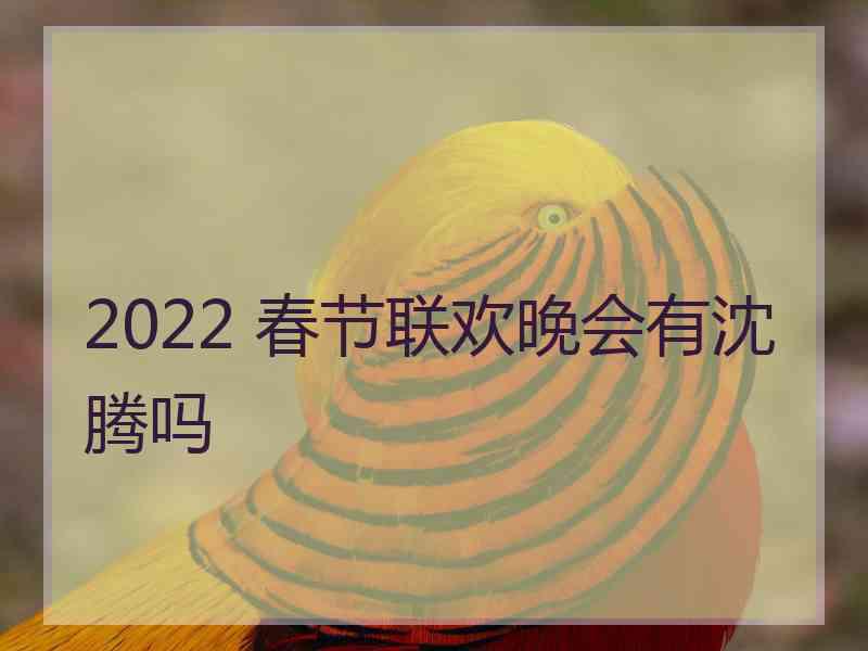 2022 春节联欢晚会有沈腾吗