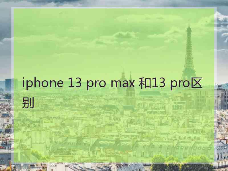 iphone 13 pro max 和13 pro区别