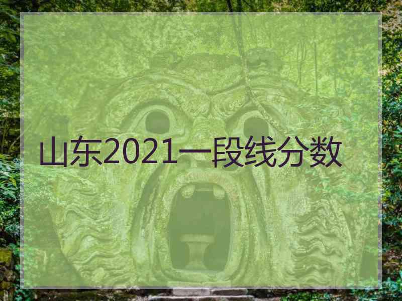 山东2021一段线分数