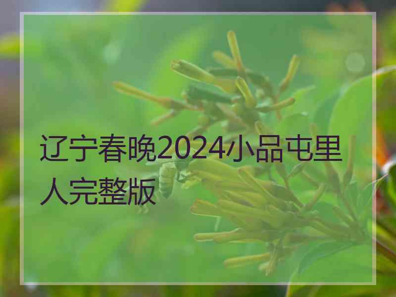 辽宁春晚2024小品屯里人完整版