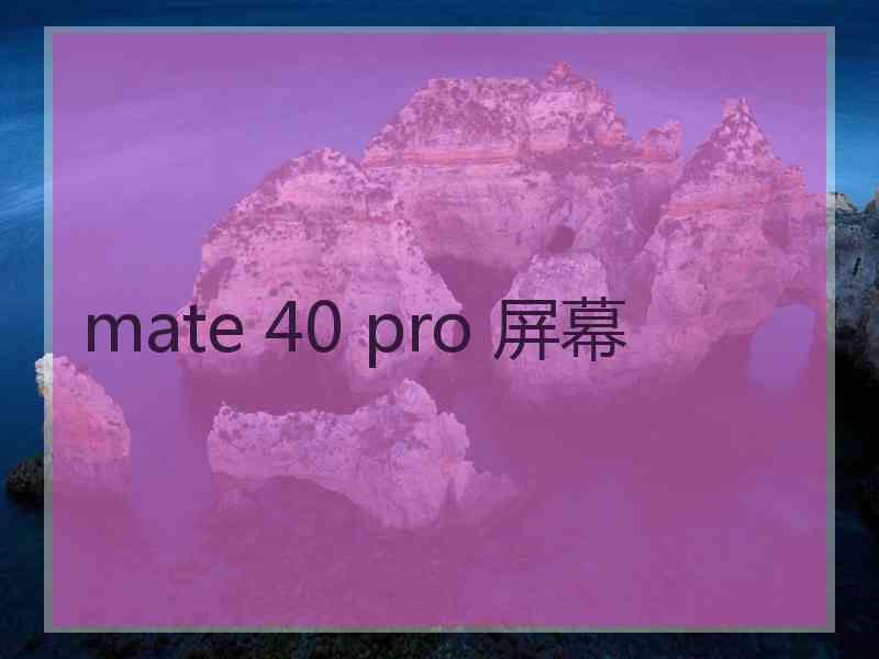 mate 40 pro 屏幕