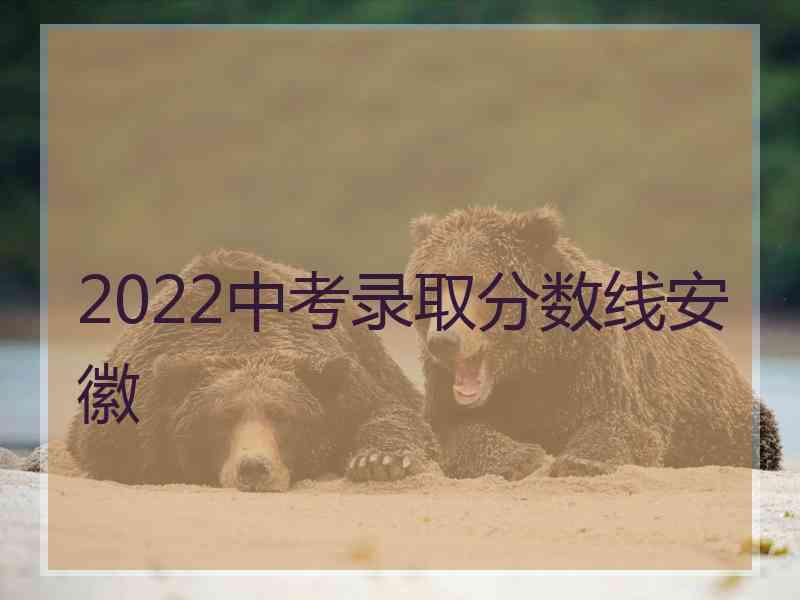 2022中考录取分数线安徽