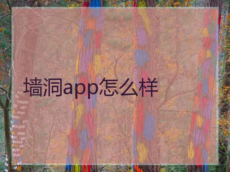 墙洞app怎么样