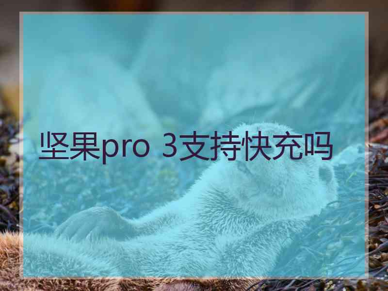 坚果pro 3支持快充吗