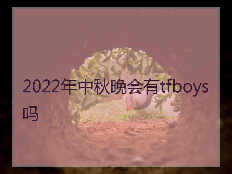 2022年中秋晚会有tfboys吗