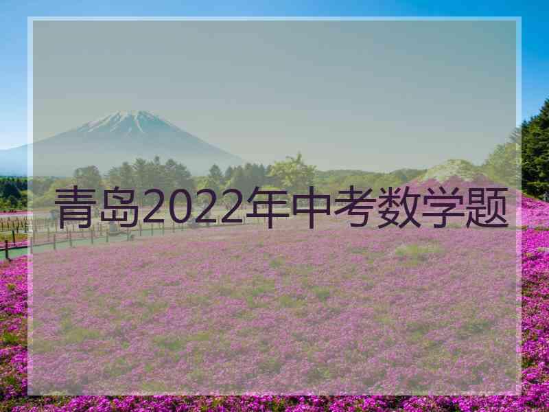 青岛2022年中考数学题