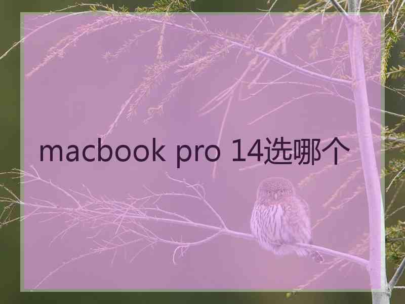 macbook pro 14选哪个