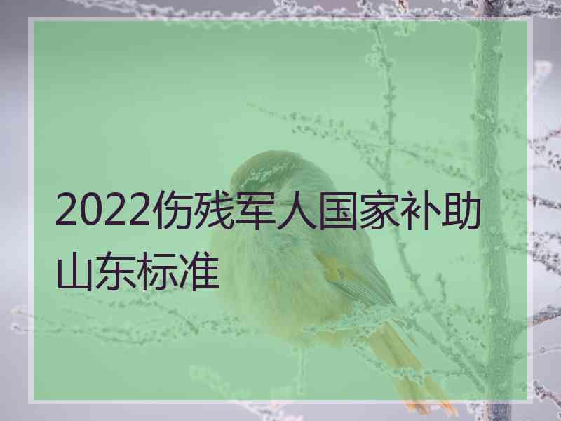 2022伤残军人国家补助山东标准