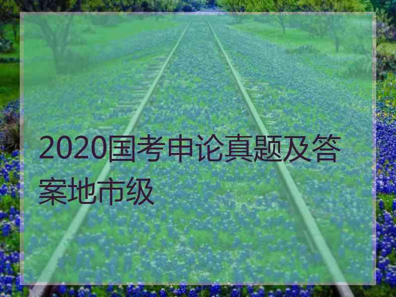 2020国考申论真题及答案地市级