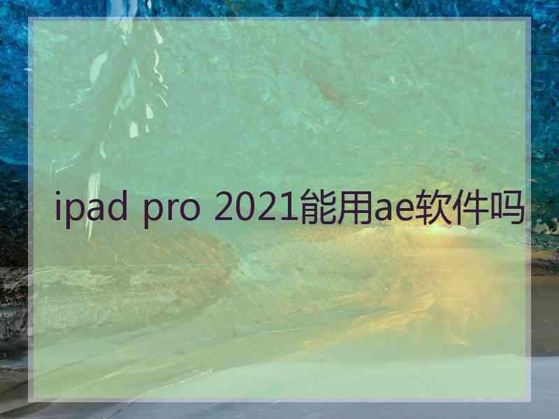 ipad pro 2021能用ae软件吗