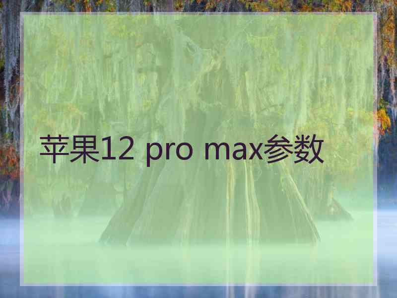 苹果12 pro max参数