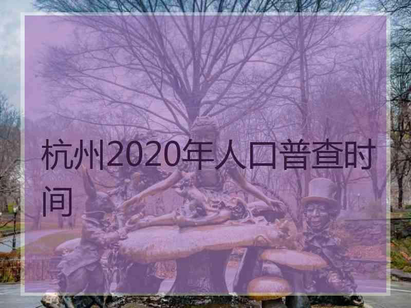 杭州2020年人口普查时间