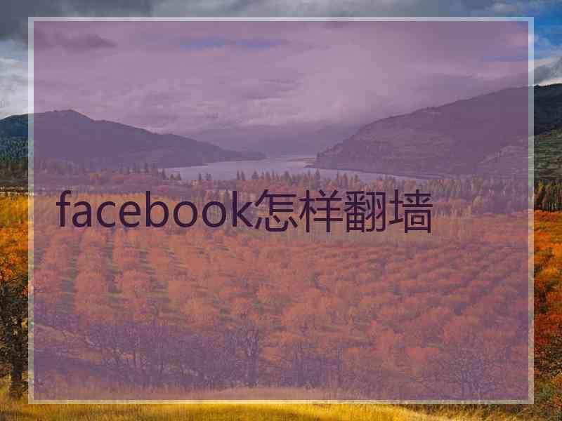 facebook怎样翻墙