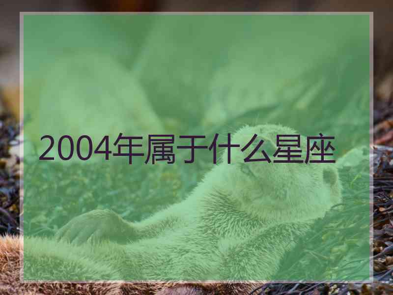 2004年属于什么星座