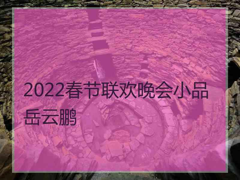 2022春节联欢晚会小品岳云鹏