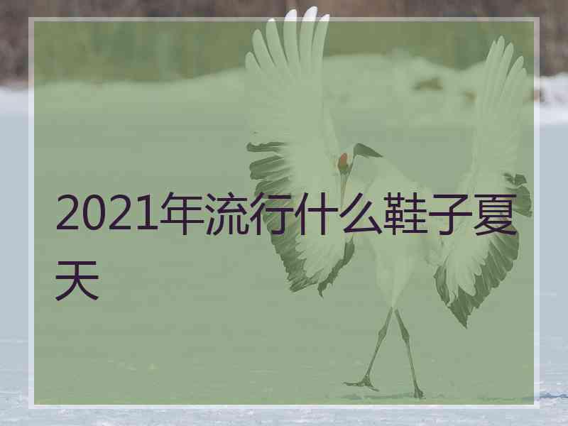 2021年流行什么鞋子夏天