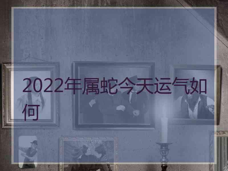 2022年属蛇今天运气如何