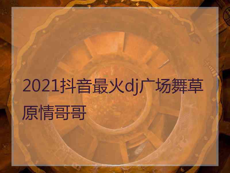 2021抖音最火dj广场舞草原情哥哥