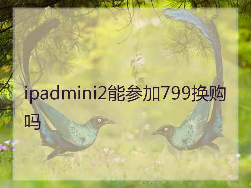 ipadmini2能参加799换购吗