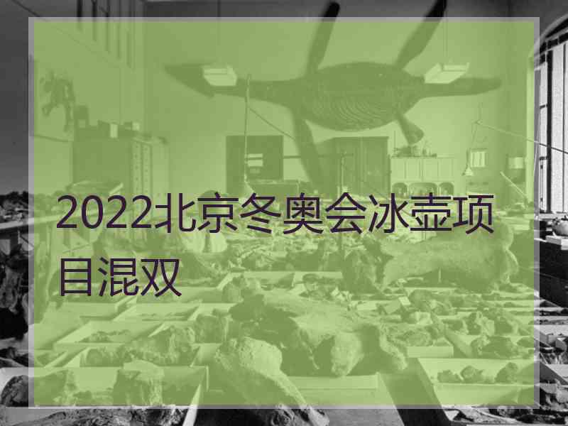 2022北京冬奥会冰壶项目混双