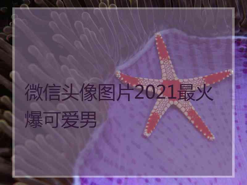 微信头像图片2021最火爆可爱男